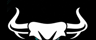 Synergy Auto Solutions